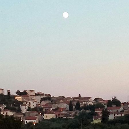 Apartman Ante Daire Vrgada Dış mekan fotoğraf